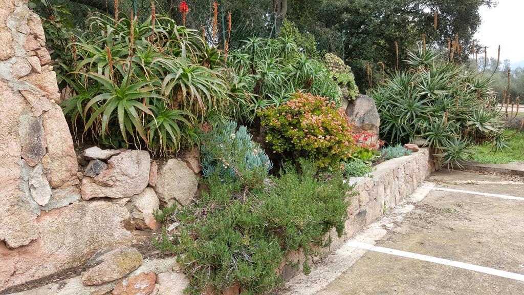 Corsica Hostel Porto-Vecchio, Partie Dortoirs 외부 사진